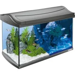 Tetra AquaArt LED Aquarium Komplettset Anthrazit -Fischzubehör Verkäufe 1000033554