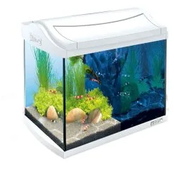 Tetra AquaArt LED Aquarium-Komplett-Set Weiß -Fischzubehör Verkäufe 1000039781