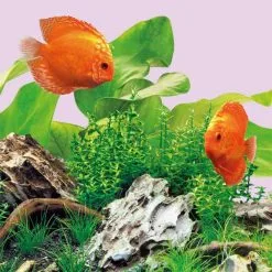 Juwel Leuchtmittel Für Multilux LED Colour -Fischzubehör Verkäufe 1000072582 3