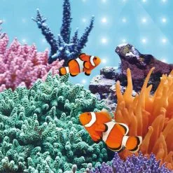 Juwel Leuchtmittel Für Multilux LED Blue -Fischzubehör Verkäufe 1000072588 3