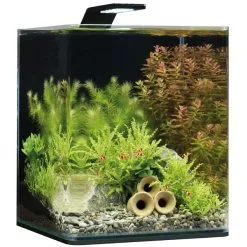 Dennerle NanoCube Basic Set -Fischzubehör Verkäufe Dennerle NanoCube Basic Style LED M 20l605caf4da747f