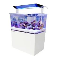 Aqua Medic Armatus XS 16 Aqua Medic Armatus XS -Fischzubehör Verkäufe aqua medic micro aquarium armatus xs web 2
