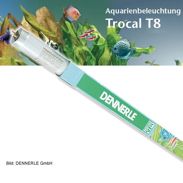 Dennerle Trocal De Luxe T8 Amazon Day 3 Dennerle Trocal De Luxe T8 Amazon Day