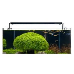 Dennerle Aquarium LED Trocal Flat -Fischzubehör Verkäufe dennerle trocal flat led 35 web 3