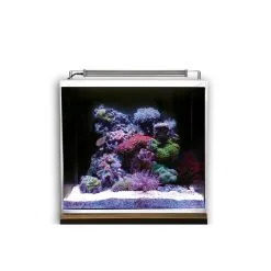 Dupla Marin Meerwasseraquarium Ocean Cube 50 Set 12 Dupla Marin Meerwasseraquarium Ocean Cube 50 Set -Fischzubehör Verkäufe dupla marin meerwasseraquarium ocean cube 50 set 5tE4lemMMniTDO