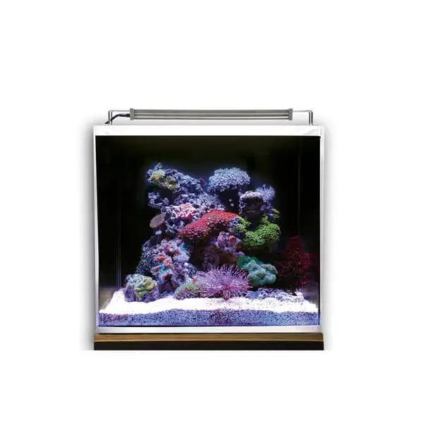Dupla Marin Meerwasseraquarium Ocean Cube 50 Set 7 Dupla Marin Meerwasseraquarium Ocean Cube 50 Set – Bild 5