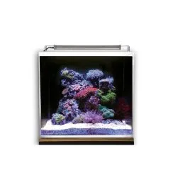 Dupla Marin Meerwasseraquarium Ocean Cube 80 Set -Fischzubehör Verkäufe dupla marin meerwasseraquarium ocean cube 80 set 5h88zaTmmLxNHR