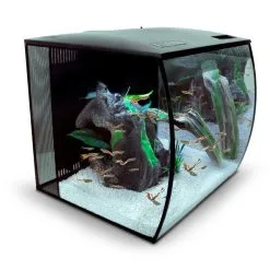 Fluval Aquarium Flex Set 57 L -Fischzubehör Verkäufe fluval aquarium flex set 57 l schwarz 35f5b2ba0aad2a