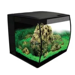 Fluval Aquarium Flex Set 57 L -Fischzubehör Verkäufe fluval aquarium flex set 57 l schwarz 45f5b2ba1772b5
