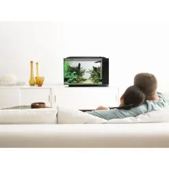 Fluval Aquarium SPEC XV 60 L. Schwarz -Fischzubehör Verkäufe fluval aquarium spec xv 60 l schwarz 11