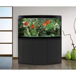 Fluval Komplettaquarium Mit Unterschrank Vicenza 260 -Fischzubehör Verkäufe fluval vicenza260led schwarz 4