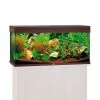 Juwel Rio 180 LED Komplett Aquarium Ohne Schrank -Fischzubehör Verkäufe juwel Rio 180 led sbx ohne schrank dunkles holz58fe09c4a9a8f