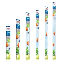 Juwel Leuchtmittel Für Multilux LED Day -Fischzubehör Verkäufe juwel aquariumleuchtmittel day led