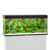 Juwel Rio 240 LED Komplett Aquarium Ohne Schrank -Fischzubehör Verkäufe juwel rio 240 led sbx ohne schrank schwarz