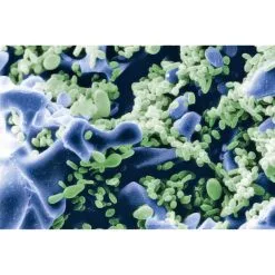 Sera Siporax 2,9kg (10l) 9 Sera Siporax 2,9kg (10l) -Fischzubehör Verkäufe sera siporax 2