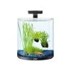 Tetra AquaArt Explorer Line Halfmoon Komplett-Set 30l -Fischzubehör Verkäufe tetra aquaart explorer line halfmoon komplett set 30l 2