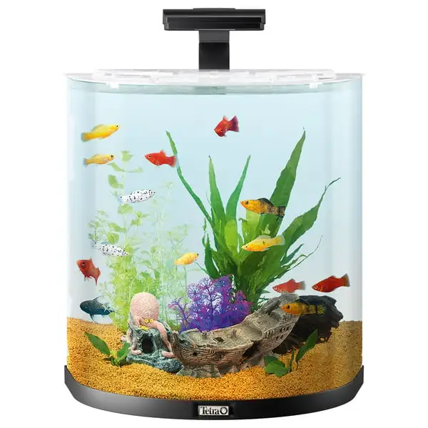 Tetra AquaArt Explorer Line Halfmoon Komplett-Set 60l 3 Tetra AquaArt Explorer Line Halfmoon Komplett-Set 60l