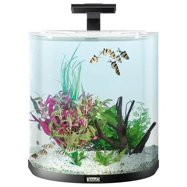 Tetra AquaArt Explorer Line Halfmoon Komplett-Set 60l 4 Tetra AquaArt Explorer Line Halfmoon Komplett-Set 60l – Bild 2