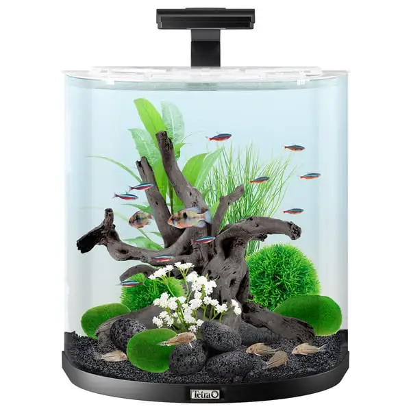 Tetra AquaArt Explorer Line Halfmoon Komplett-Set 60l 5 Tetra AquaArt Explorer Line Halfmoon Komplett-Set 60l – Bild 3