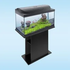 Tetra Starter Line LED Aquarium 105L -Fischzubehör Verkäufe tetra starterline led 105l 5NyikdpFD1xGcv